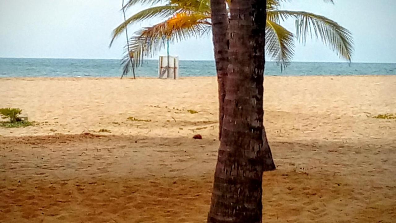 Eco Cabanas Marakolliya Tangalle Extérieur photo